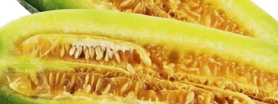 2026潘集酥瓜节短讯：老牌瓜农金本祝斩获亚军 携手鑫农小哥共拓产业新局