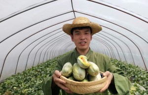 潘集酥瓜节来了，5月20日我在潘集等你