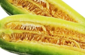2026潘集酥瓜节短讯：老牌瓜农金本祝斩获亚军 携手鑫农小哥共拓产业新局